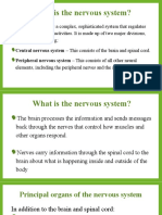 Nutrition and Disorders of The Nervous System