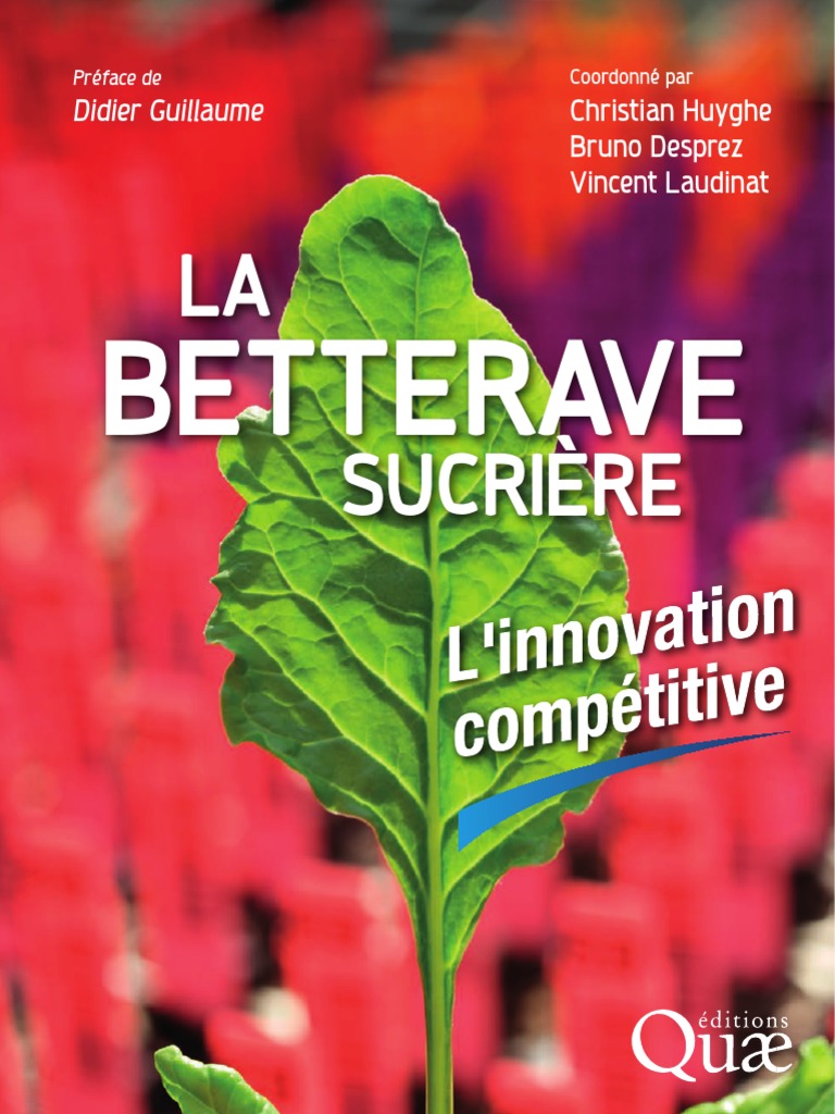 LA Sucrière: Betterave | PDF | Betterave sucrière | Sucre