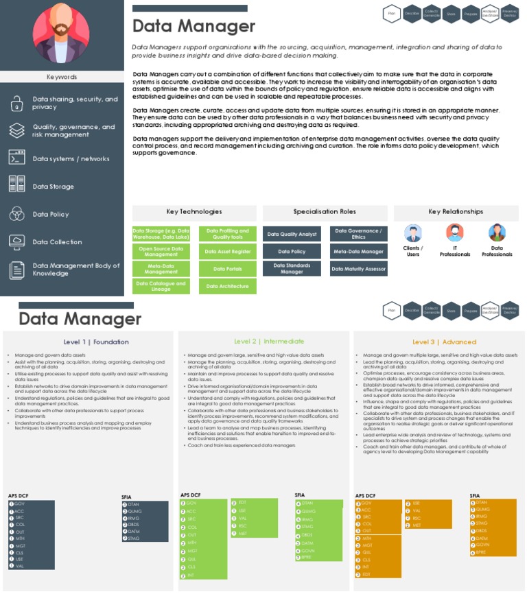 DP - Data Manager | PDF | Metadata | Governance