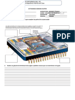 ACTIVIDAD PARTES DEL CPU SEMANA25 - Soporte Técnico
