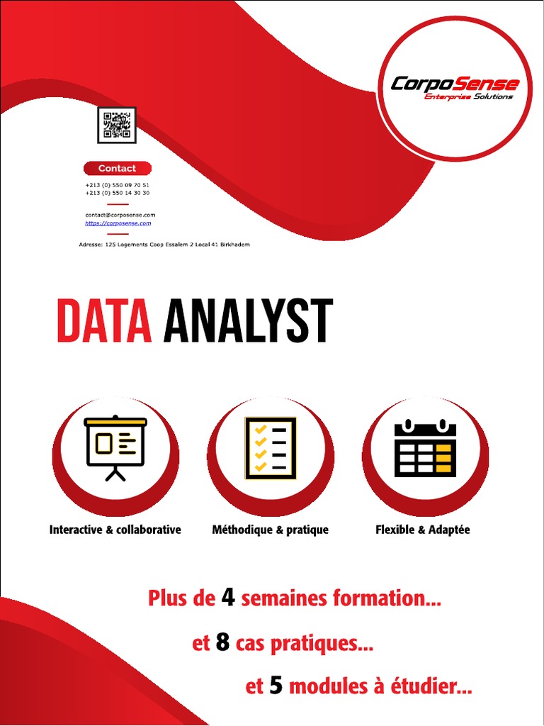 Brochure Data Analyst | PDF