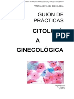 Guía completa de identificación de estructuras del aparato reproductor femenino