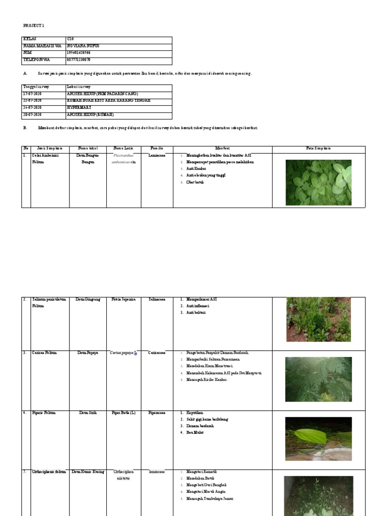 Project 1 Simplesia Noviana Nufus C10 195401426566 | PDF