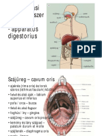 Táplálkozási Szervrendszer