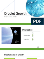 Droplet Growth Mechanisms