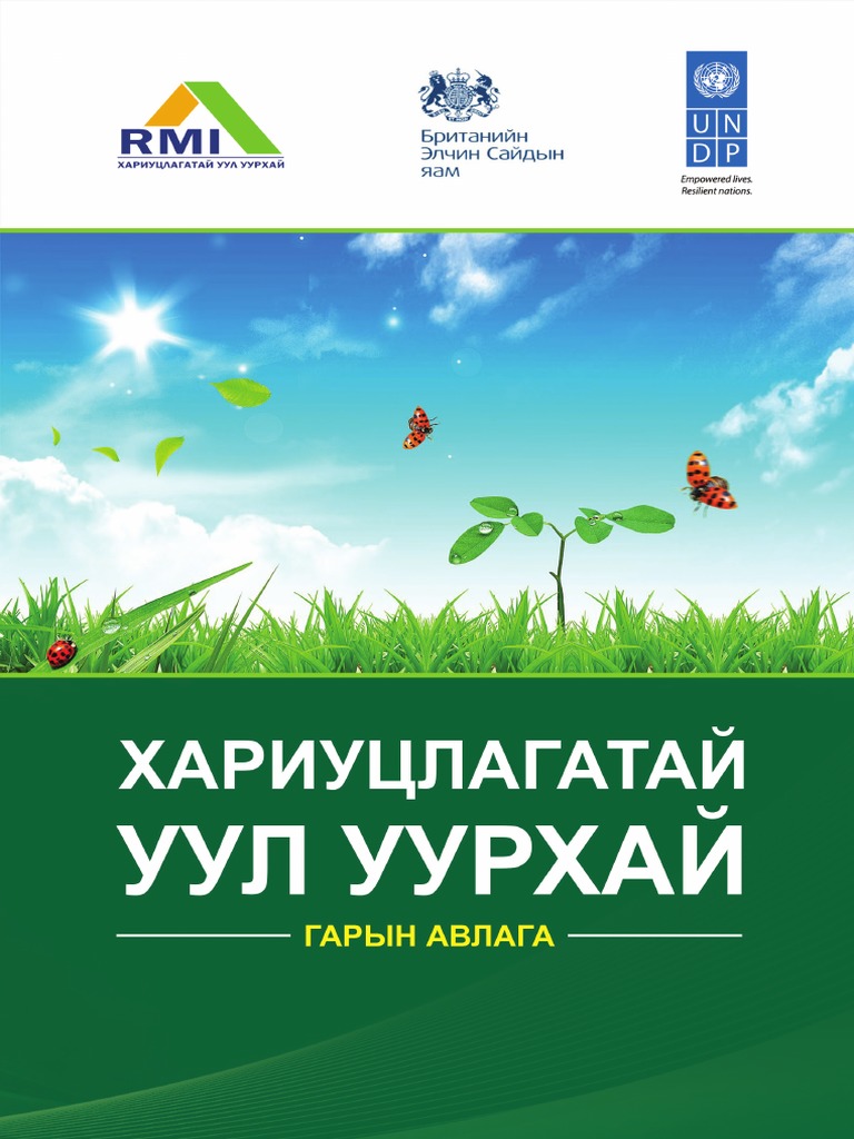 Guideline For Responsible Mining | PDF