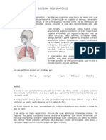 Aula de Anatomia - Sistema Respiratório