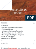 Percepção de Risco