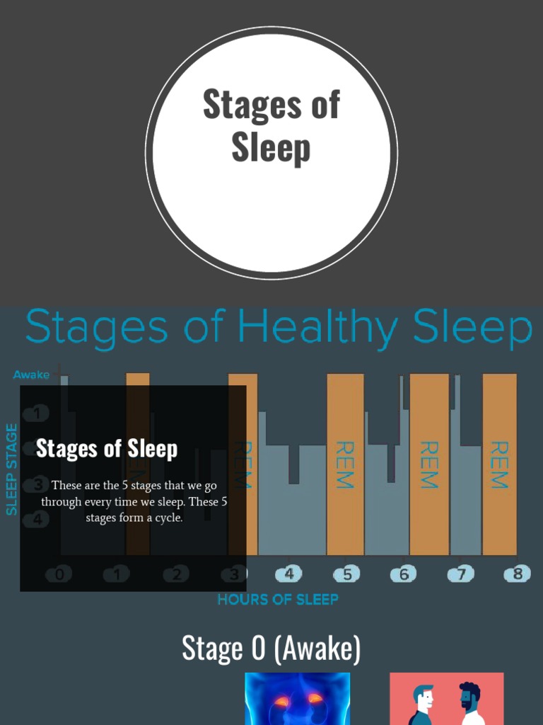 Sleep Cycle: 5 Stages Explained | PDF | Sleep | Rapid Eye Movement Sleep