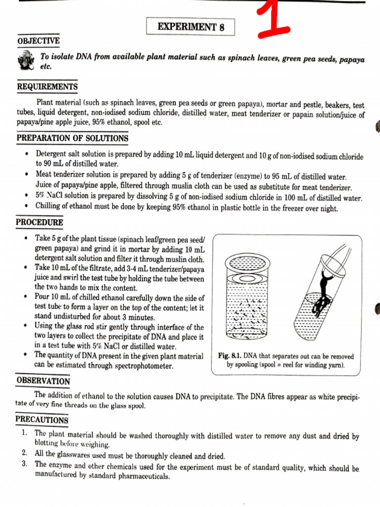 Biology Practical Pdf Chromosome Cell Biology