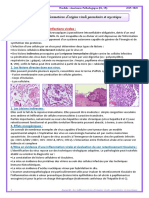 11 - Inflammation Virale, Parasitaire Et Mycotique