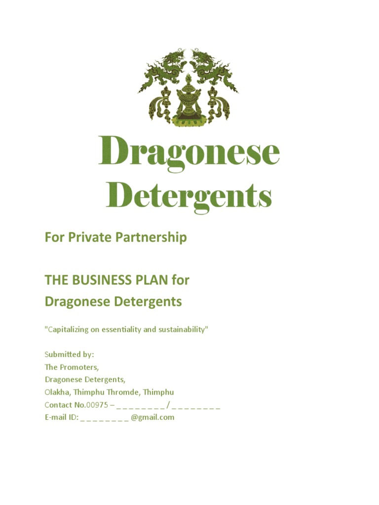 Dragonese Detergents Business Plan Model Based Booklet PDF Expense