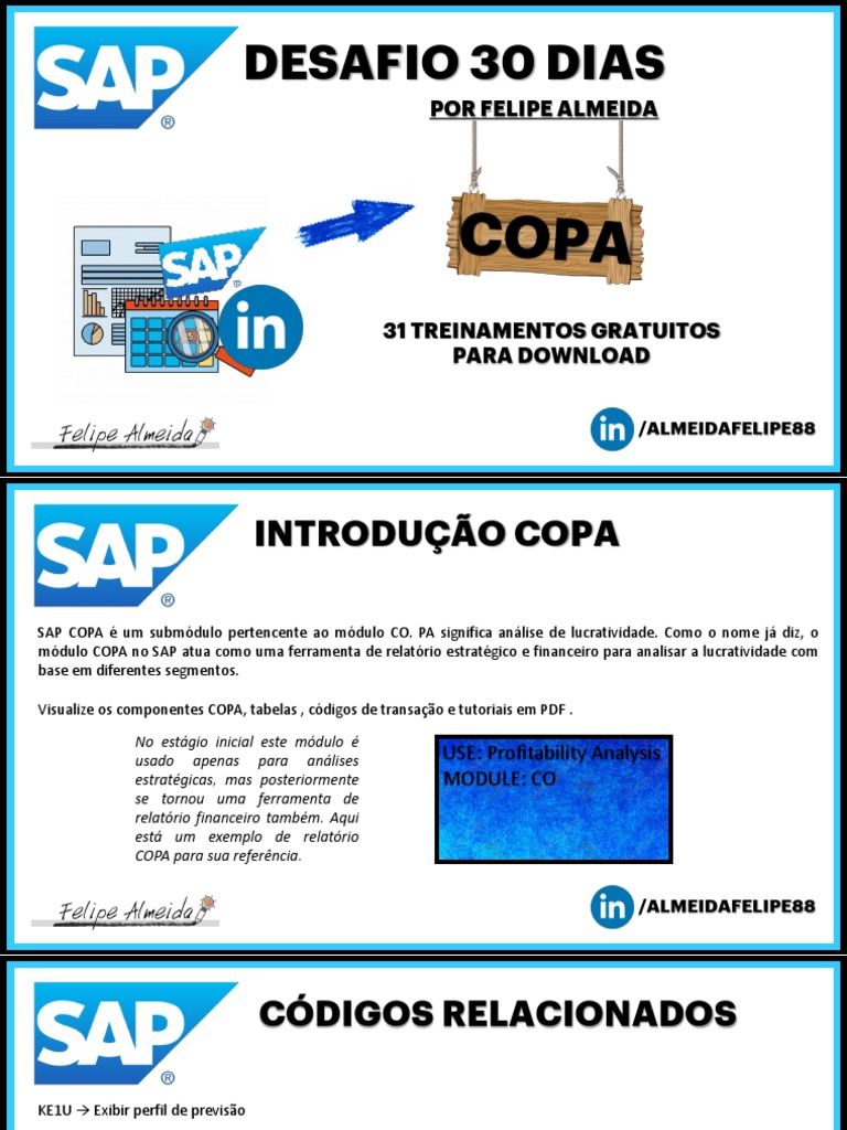 Análise de Lucratividade no SAP COPA | PDF | Contabilidade | Despesa