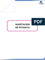 Injertacion de Pitahaya