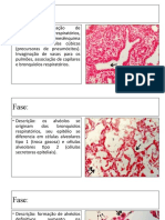 Maturação Pulmonar