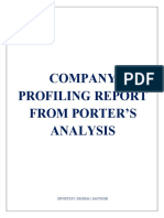 Company Profiling Report From Porter