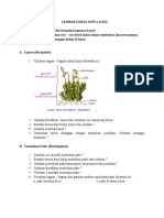 LEMBAR KERJA SISWA Plantae