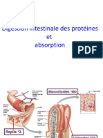 Digestion Intestin + Absorption Protéines Février 2021 Étudiants
