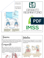 Aparato Respiratorio