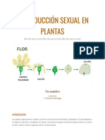 Práctica 2 Biología Reproducción Sexual en Plantas
