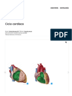 Fases Del Ciclo Cardíaco - Definición, Sístole y Diástole - Kenhub