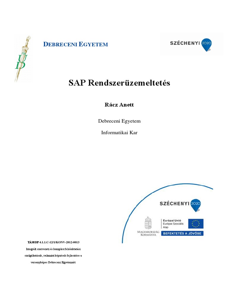 SAP Rendszerüzemeltetés | PDF