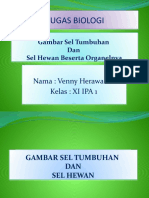 Dokumen - Tips Gambar Sel Tumbuhan Dan Sel Hewan Beserta Organelnya