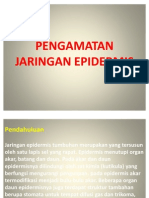 Pengamatan Jaringan Epidermis