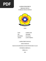 Download TUMBUHAN TINGKAT RENDAH by Darwin azis SN61896744 doc pdf