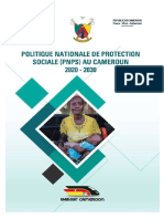 Stratégie Services Sociaux Et PNPS Français