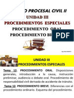 Derecho Procesal Civil Ii