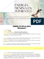 CH. Plexo Solar PDF
