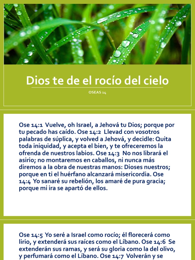 El Rocío del Cielo en Oseas 14 | PDF | Bendición
