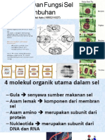 Struktur Dan Fungsi Sel Tumbuhan Rahmaddd 28 Nov