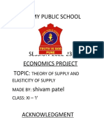 Army Public School Economics