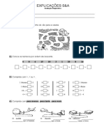 Diagnost Mat