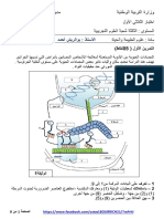 Dzexams 3as Sciences 1015843