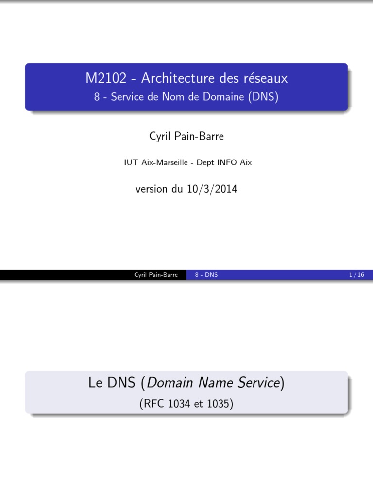 Comprendre le Service DNS en Réseaux | PDF | Système de noms de ...