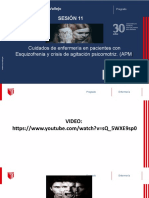 Sesión 11: Cuidados de Enfermería en Pacientes Con Esquizofrenia y Crisis de Agitación Psicomotriz. (APM