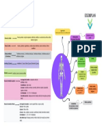 Mapa mental - (Sistema Esquelético)