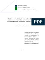 Cultivo e Caracterização de Membros Do Domínio: Archaea A Partir de Sedimentos Límnicos Do Cerrado