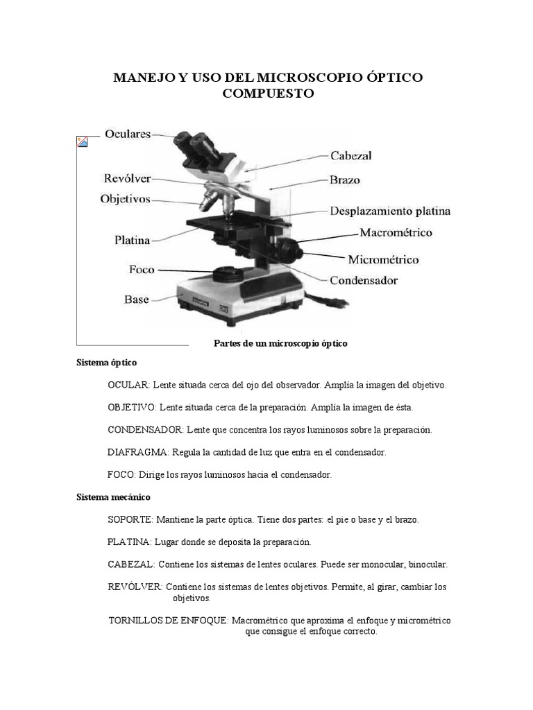 Partes y Manejo del Microscopio Óptico | PDF | Microscopía | Química