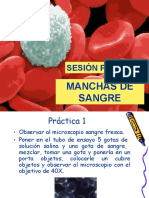 Practicas de Sangre