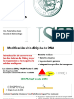 Sistema CRISPR-Cas9