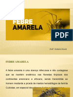 10-Febre Amarela