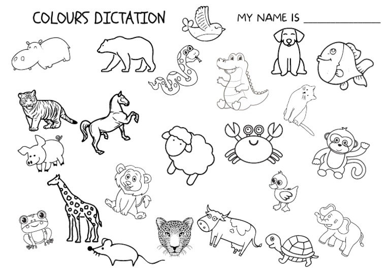 Colorful Illustrated Geography Landscape in Spanish Flashcards PDF