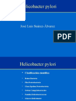 Helicobacter Pylori2