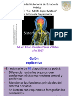 Copia de Sistema Nervioso OPV2017