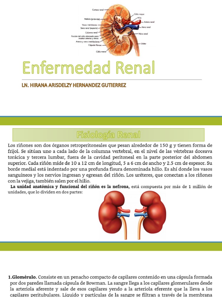 Enfermedad Renal PDF