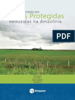 Desmatamento aumenta 50% após perda de proteção em APs